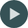 Play button icon
